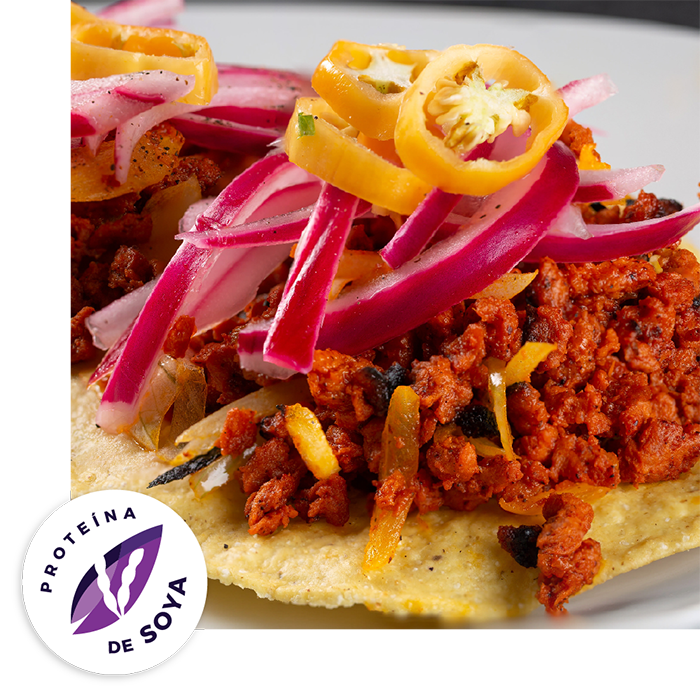 Cochinita Pibil - Plant based